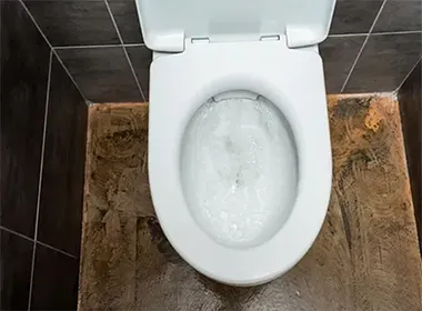 Desentupimento de Vaso Sanitário